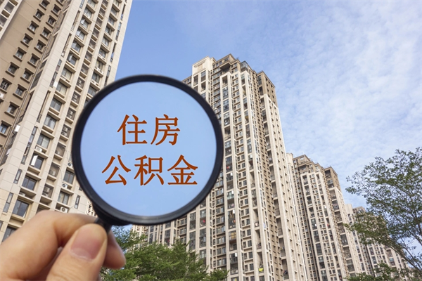 阳谷离职多久可以取住房公积金（离职多久后能取公积金）